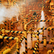 Illustration for article titled None of these awesome photos has been digitally modified
